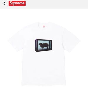 Supreme / Damien Hirst Tee “White”